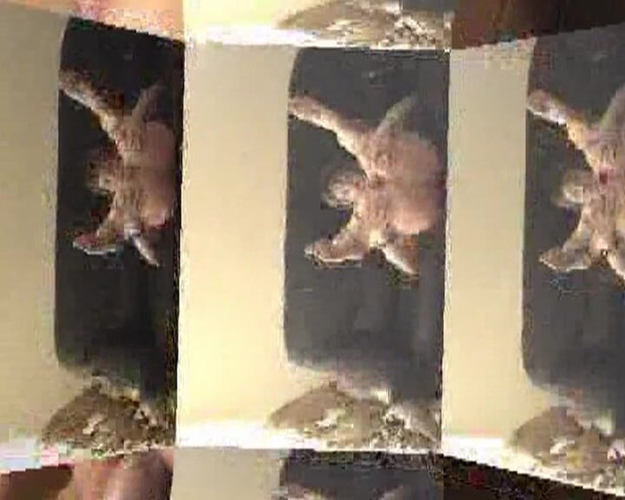 Monde Francais: Cewek perancis dientot habis-habisan di ruang tamu