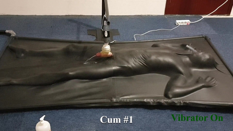 NL Milking: Milked by controlled vibrator in vacbed