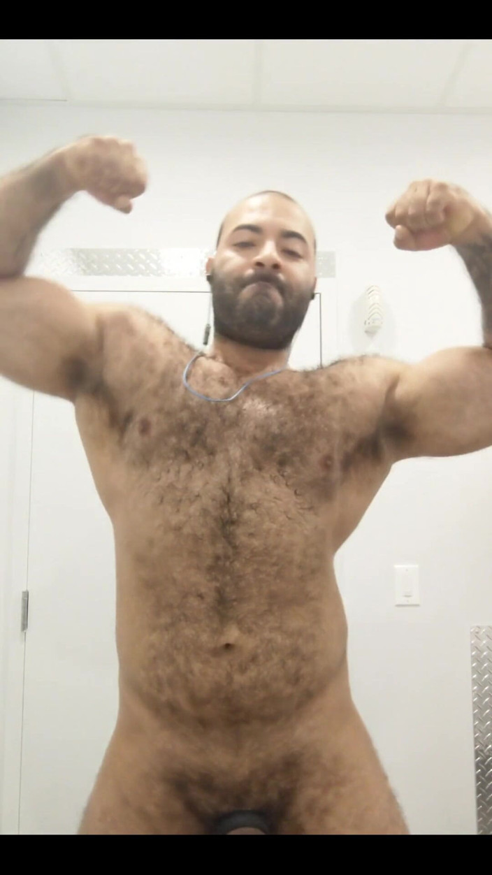 Lobo: Grande toro