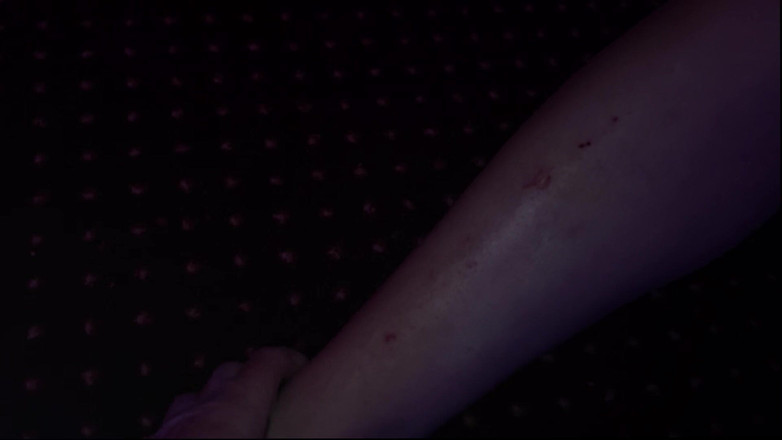 Shawna Panofka: Dojím ptáka svého nevlastního bratra