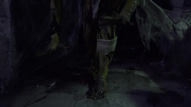 Horror porn: Phim khiêu dâm kinh dị 17: nhện nữ