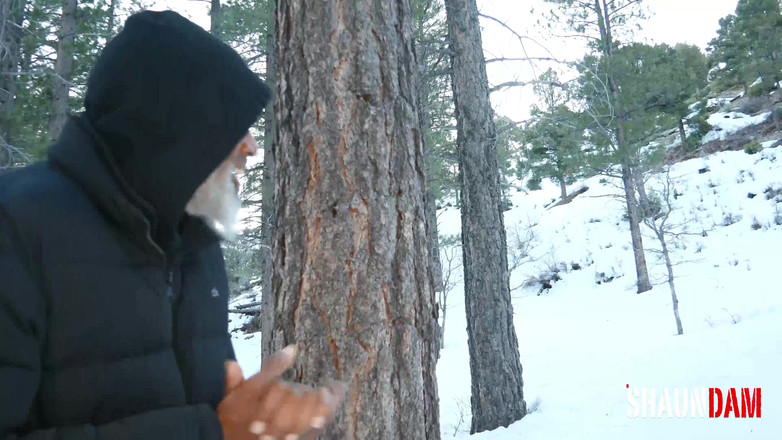 Shaundam: द लीजेंड ऑफ द स्नोबनी