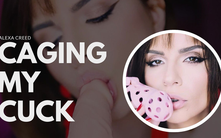 LexandLev: Je cherche mon cocu - pas de plaisir pour toi