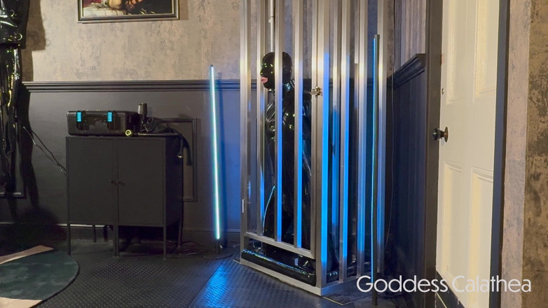 Goddess Calathea: Caged Gimp Dildo Sucking Training