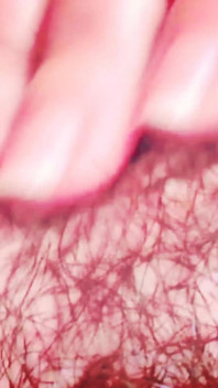 Macro Perspective: Extreme Close-up with Micro Camera
