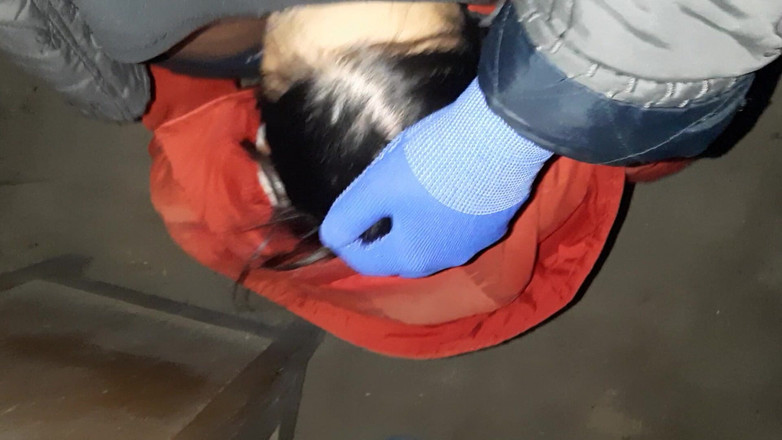 Lesbian-illusion: Prima di derubare la casa di qualcun altro, abbiamo deciso...