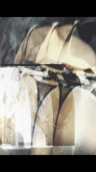 Season Four - Big Booty Colombiana Life