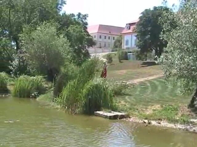 Femdom Austria: Blonde bitch spied on while pissing outdoors
