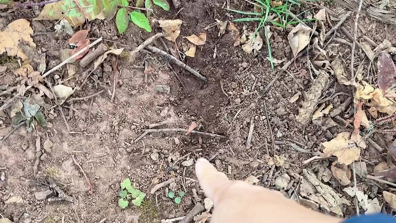 sweethanajapanese: Svuota l'acqua nel Giardino degli Apple