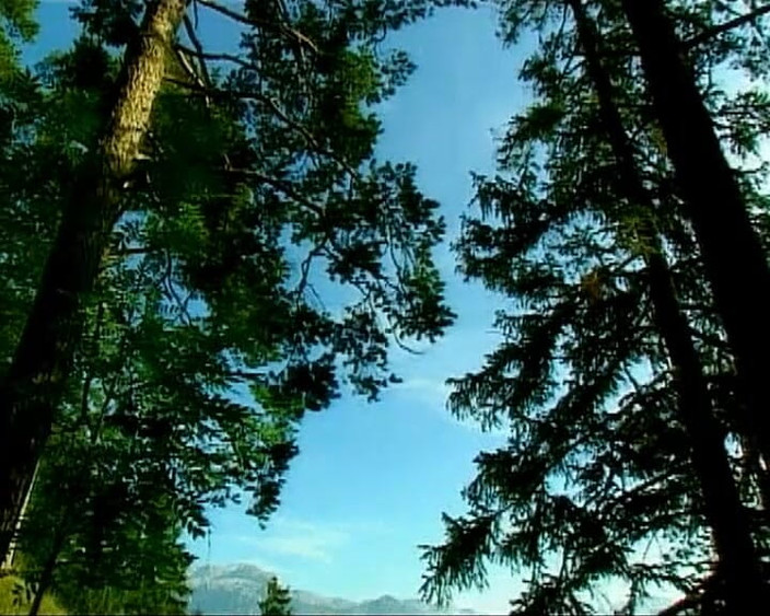 GERMAN PORN CLASSICS: To nejlepší z Heidi