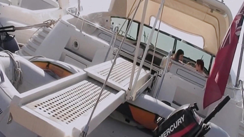 Analiscius: Эта удивительная крошка может обрабатывать двух больших пикеров