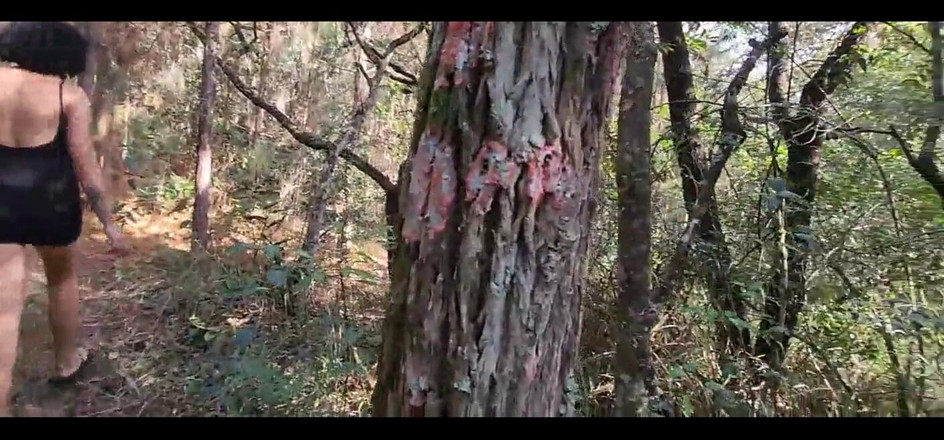 Bruxo fire: Si Dia Fikir Dia Akan Mandi Di Air Terjun! Saya...