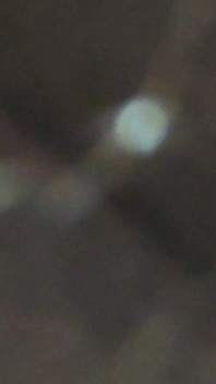 Reifer analsex