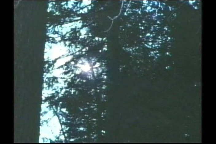 Bisco Birchwood Productions: Шлюхи відправляються в подорож!~ Класичний США