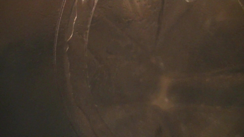 Mark Hannes: Cleardoll - gozada interna na masturbação