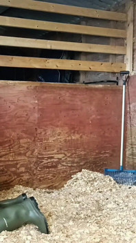 Boots Versus Balls, Extremely Hard Hunters Wellingtons Ballbusting in the Stables