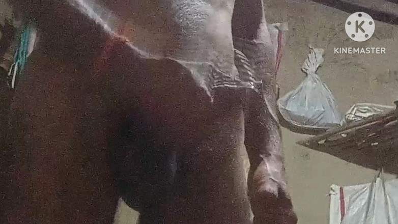 vijay Yadav: Indiancă bhabhi futută cu un penis de 22 de cm