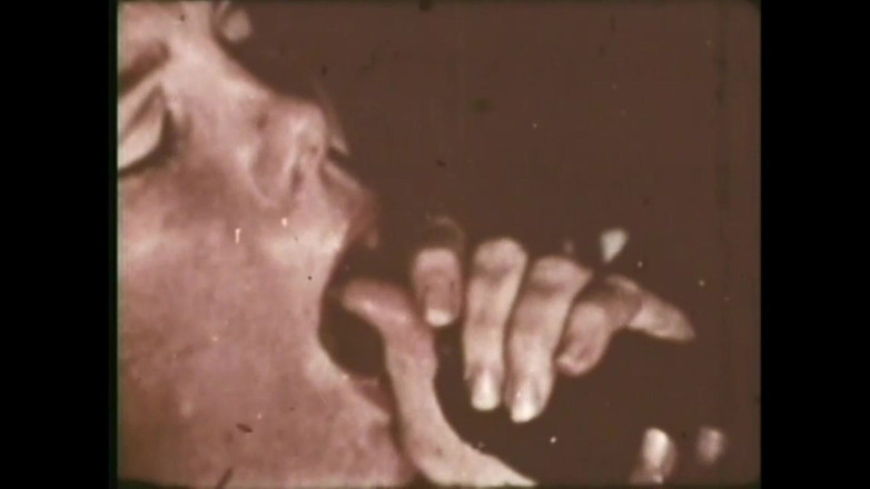 The Unforgettable: O Potro Selvagem