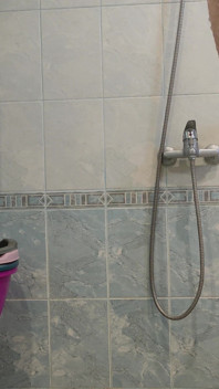 Shower Dick 2