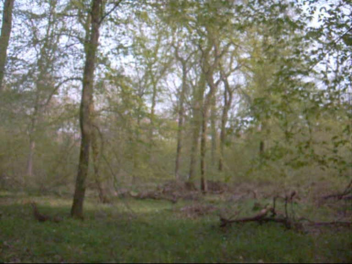 Blondehexe: Mastürbasyon yaparken yakalandıktan sonra vahşi sikiş