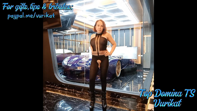 Vurikat: ¿Estás listo para mí? ¡Lubímoslo!