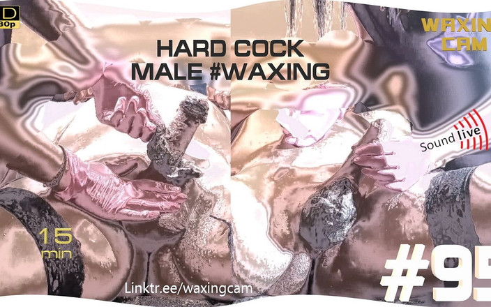 WaxingCam: #95 하드 자지 남성 왁싱