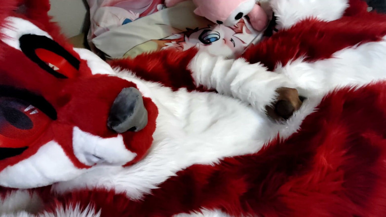 PawgrammerSocks: Masturbándose y mostrando footpaws en fursuit de cuerpo completo