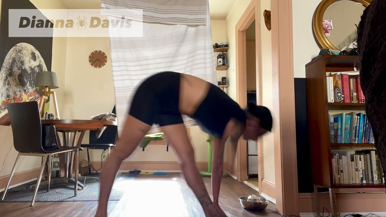 Dianna Davis: Швидка йога