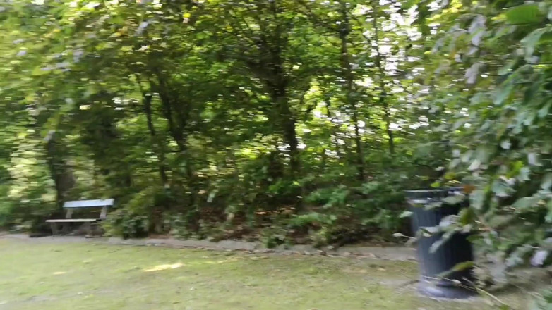 Monster_Meat_: Risky Outdoors play in the parc