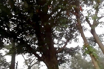 Gangbang straight: Priyansuův chlapec masturboval v polích