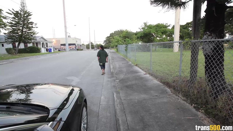 Trans 500: 制作 1 技巧 2 治疗 bts