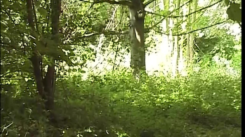 EroticEntertainment.Club: Xxl plné riziko