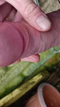 Hot Dilf Big Mushroom Head Cock Close up Outdoor Wanking and Cumming - Rockard Stepdaddy