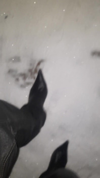 Pointy Boots in Snow