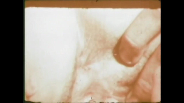 Vintage Megastore Full hd: Kegilaan faraj saya