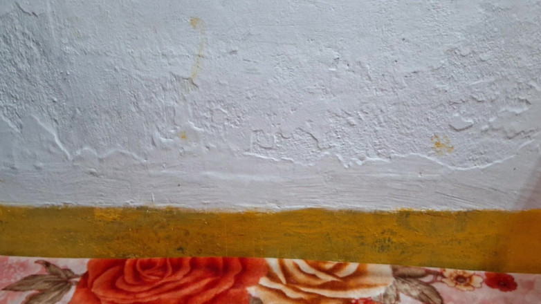 Busty Banuu: 2020년 7월 19일 10시 2002년 1월 22일