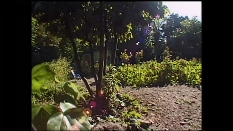 PURZEL TV - our best full movie: A Wicked Thought