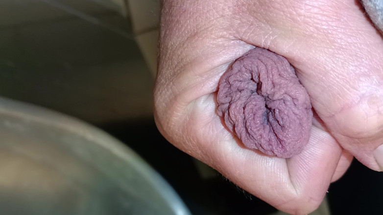 Rockardglans: Twee ladingen bij de plassen close-up van grote pik die...