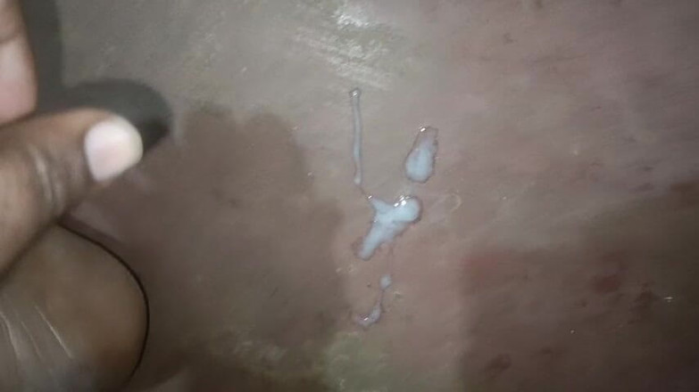 LegalVector8: Нове дезі відео