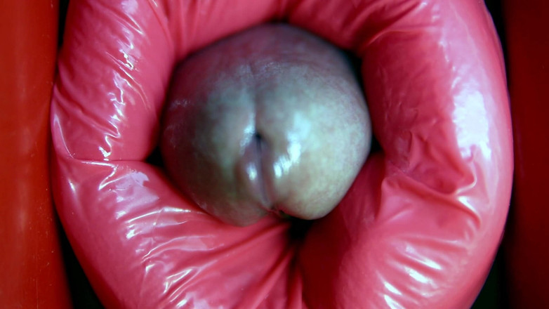 SEXY_GUYBEST: Velký čůrák uvízl v díře