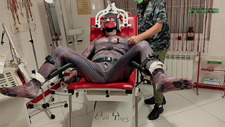 The Playing Puppies: Gioco Con Cuccioli Il Primo Esame