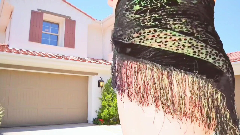 Kitty_Cross: 华丽的娘娘腔在阳光明媚的草地上戴玫瑰皇冠