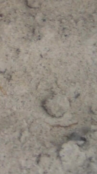 Jen Shows up Her Naked Feet in the Sand