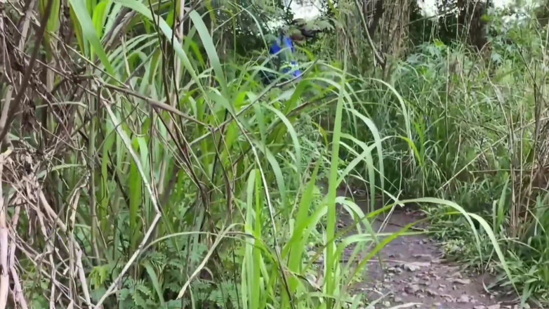 TheBlacKHunterr: Pekerja melalui taman dan mendapat