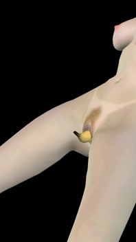 Lucah 3d animasi - awek yang sangat cantik melancap dengan pisang sehingga orgasme