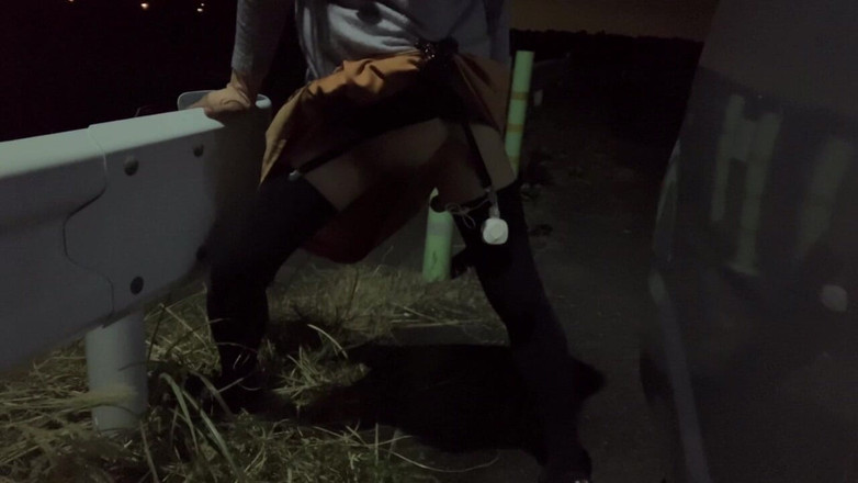 megu2002: Self-training No. 32: Nighttime Walk with the Woof-woof Pose