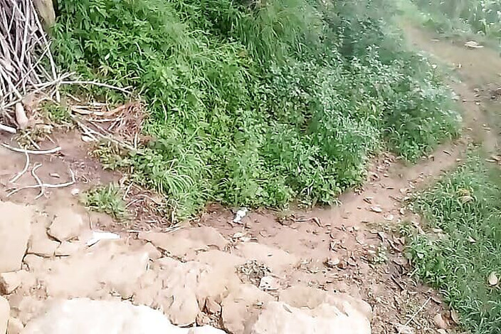 Gangbang straight: Nachytal bhabhi přítele v Antarktidě po chcaní pocta a strom...