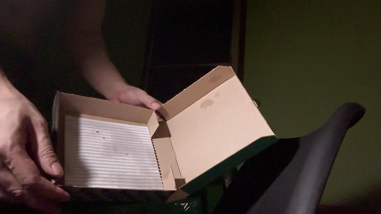 SinglePlayerBKK: 배달 피자 배달 사정