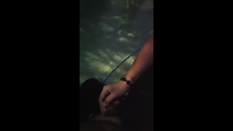 Bellaboo: Ngocok kontol pria ini di kolam renang sebagai bayarannya