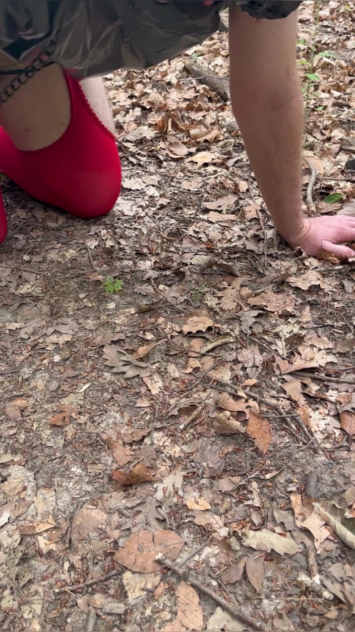 Maitresse Clara: 숲 속에서의 벌...